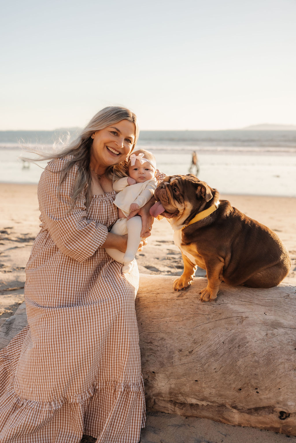 Funny and sweet bulldogs dressed up for a beach newborn session
